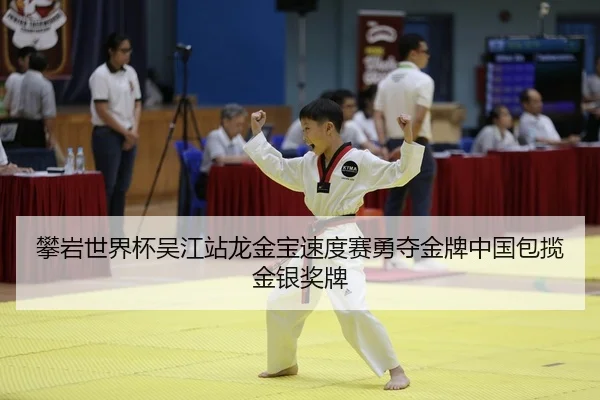pan-yan-shi-jie-bei-wu-jiang-zhan-long-jin-bao-su-du-sai-yong-duo-jin-pai-zhong-guo-bao-lan-jin-yin-jiang-pai-2-182.jpg