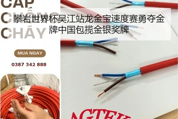 攀岩世界杯吴江站龙金宝速度赛勇夺金牌中国包揽金银奖牌