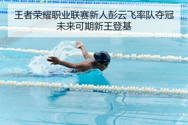 王者荣耀职业联赛新人彭云飞率队夺冠未来可期新王登基